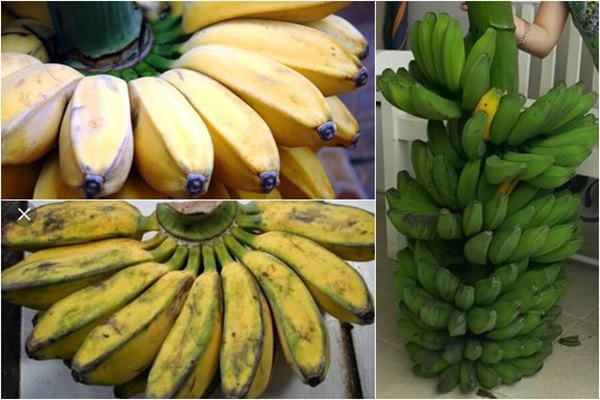  Balikpapan Mulai Pulihkan Lahan untuk Pisang Kepok