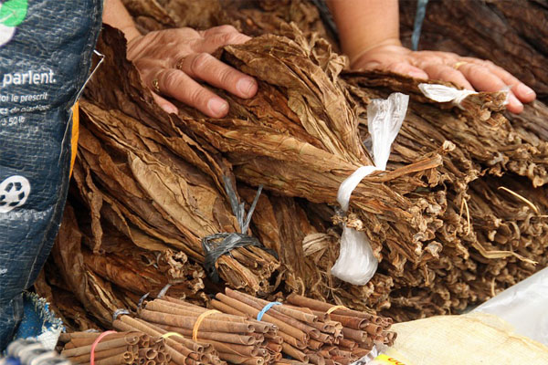  Pemerintah, Tutup Celah Cukai Rokok Demi SKT!