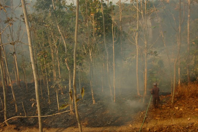  Kebakaran Gunung Slamet, Lima Kabupaten Terdampak