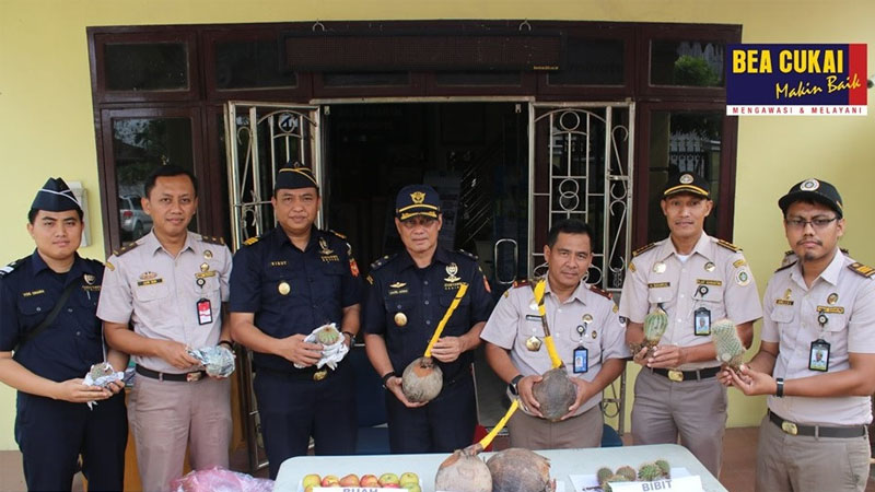  Bea Cukai dan Karantina Kerja Sama Gagalkan Penyelundupan Tanaman Lewat Teluk Nibung