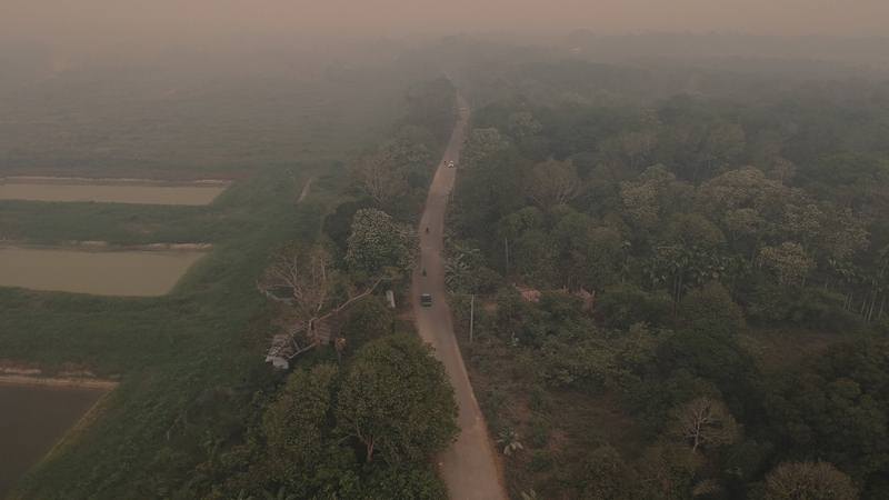  Kualitas Udara di Jambi Kategori Sangat tidak Sehat Hingga Berbahaya