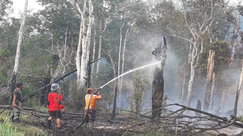  Tim gabungan sedang memadamkan kebakaran hutan di kawasan Taman Nasional Danau Sentarum wilayah Kapuas Hulu Kalimantan Barat./Antara