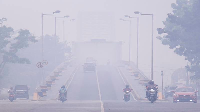  Terbukti Sebabkan Karhutla, Keuntungan Korporasi Bisa Dirampas