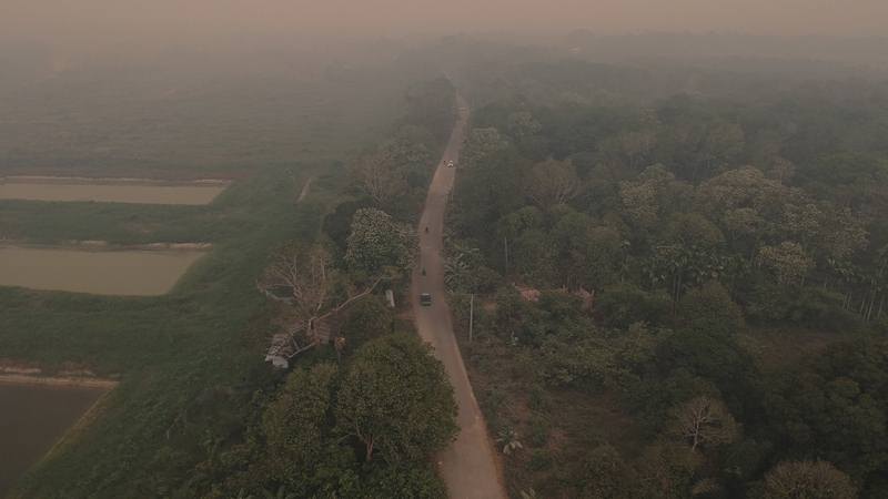  Kadar Polusi Akibat Karhutla Mulai Menurun, Tapi Beberapa Daerah Mengklaim Asap Kian Tebal