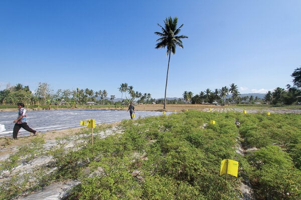  Deputi Gubernur BI Resmikan Green House di Telaga Biru