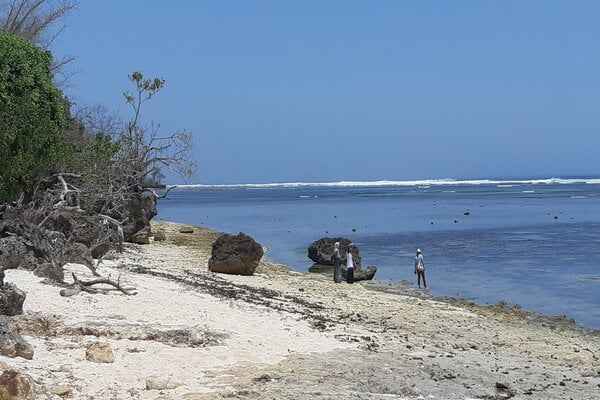  Banyuwangi Pacu Infrastruktur di Kawasan Wisata Minat Khusus