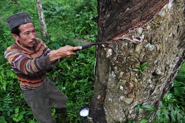  Harga Karet Dikepung Sentimen Negatif