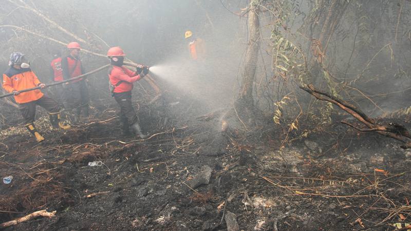 Satgas Karhutla Riau terus berupaya melakukan pemadaman di tengah pekatnya asap kebakaran lahan gambut yang terbakar di Desa Rimbo Panjang, Kabupaten Kampar, Riau, Senin (16/9/2019)./Antara
