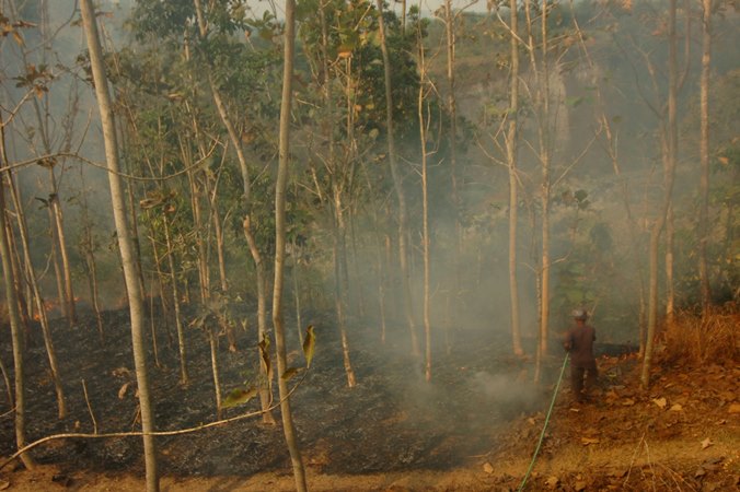  BNPB: 26,5 Hektar Area Terbakar di Gunung Sumbing