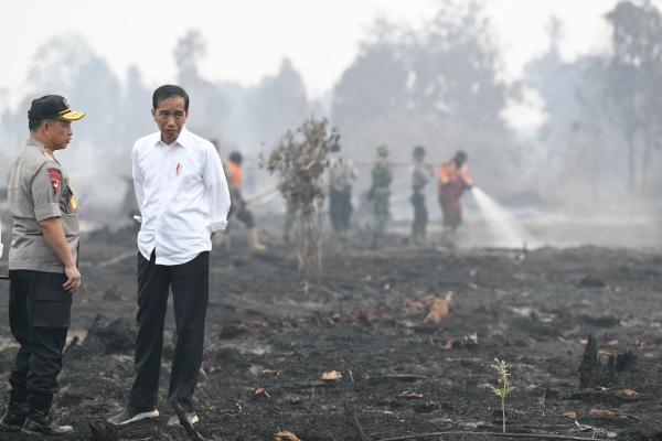 Presiden Joko Widodo (kanan) didampingi Kapolri Jenderal Pol Tito Karnavian meninjau penanganan kebakaran lahan di Desa Merbau, Kecamatan Bunut, Pelalawan, Riau, Selasa (17/9/2019)/ANTARA FOTO-Puspa Perwitasari