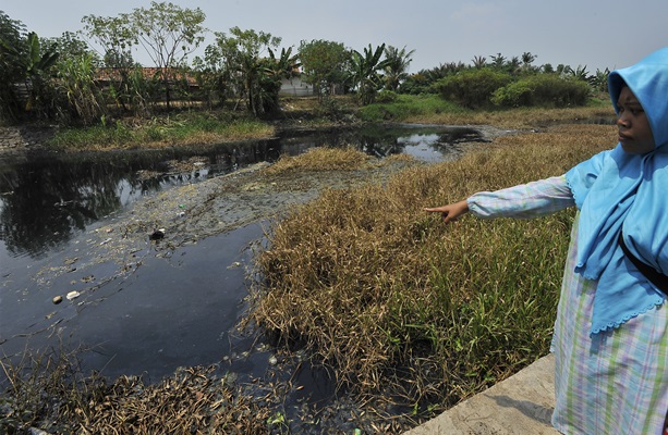  Dedi: Cabut Subsidi dan Izin Usaha Pencemar Sungai