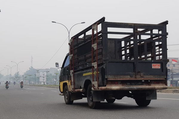  Riau Masih Siaga Karhutla, Ini Hal-hal yang Harus Diperhatikan Masyarakat