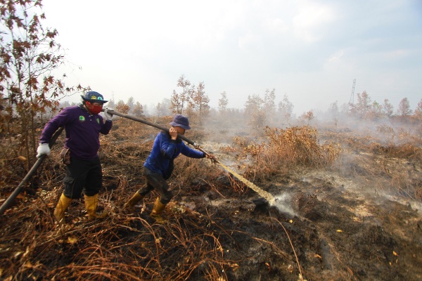  3 Hektare Lahan di Kabupaten Bandung Terbakar
