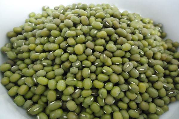  Produksi Kacang Hijau Jatim Surplus, Berpotensi Ekspor