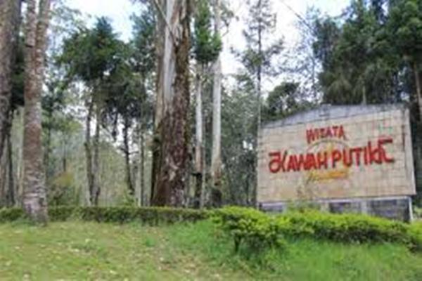  Akibat Kebakaran Hutan, Kawasan Ciwidey Ditutup