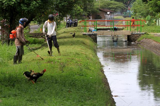  Bencana Kekeringan: Petani Samigaluh Harapkan Solusi Irigasi