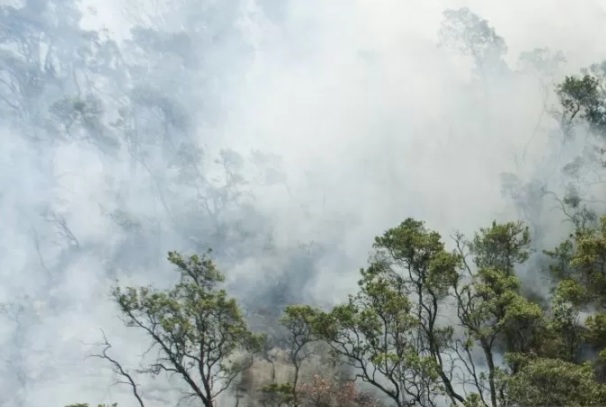  Karhutla Kawah Putih Mulai Padam, Namun Api Menjalar ke Pasirjambu