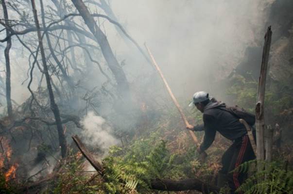  Kebakaran di Kawah Putih Mulai Padam, Api Pindah ke Pasir Jambu