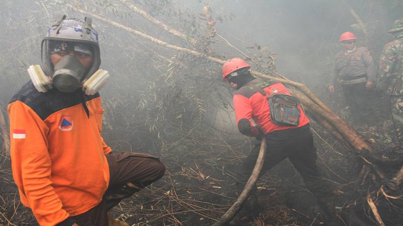  Lahan Terbakar di Riau Sudah 9.094 Hektare