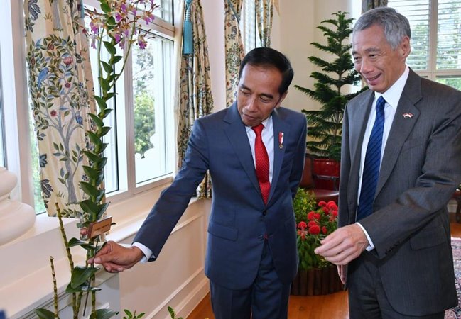 PM Singapura Lee Hsien Loong memamerkan anggrek hibrida yang tengah mekar kepada Presiden Joko Widodo di jambangan bunga ruang utama The Istana, Selasa (8/10/2019). Nama anggrek silangan ini Dendrobium Iriana Jokowi./Twitter @Jokowi