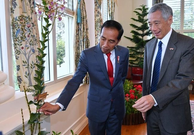  Ditemui Jokowi, PM Singapura Pamerkan Anggrek Hibrida \'Iriana Jokowi\'