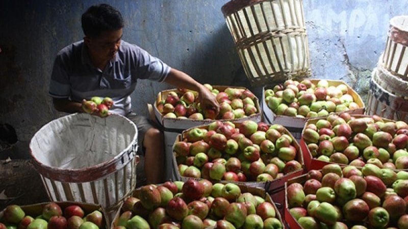  Kadin Jatim Beri Pelatihan & Pendampingan UMKM Sektor Agro