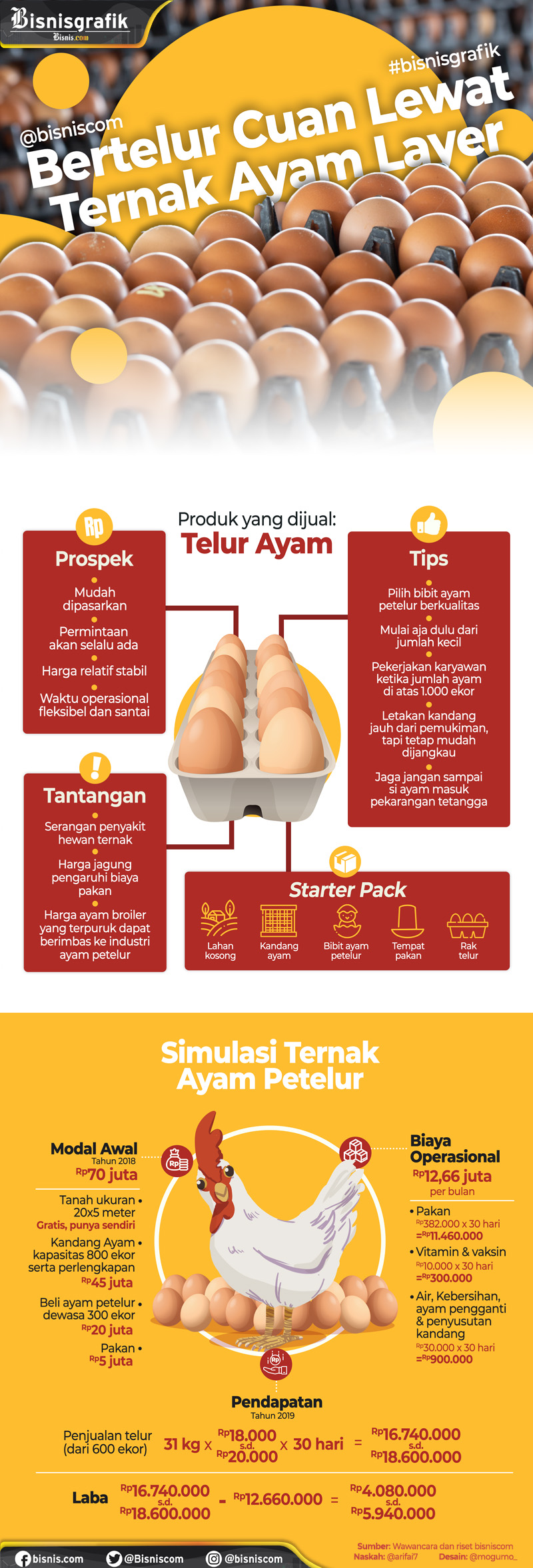  Bisnis Ternak Ayam, Kisah Peternak Bisa Bertelur Cuan