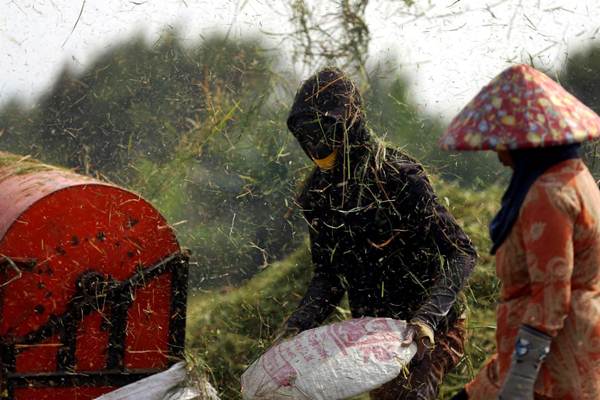  KETAHANAN PANGAN : Tantangan Besar Menjaga Lahan