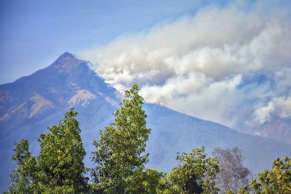  Kebakaran Rinjani Rusak 6.055 Hektare Lahan