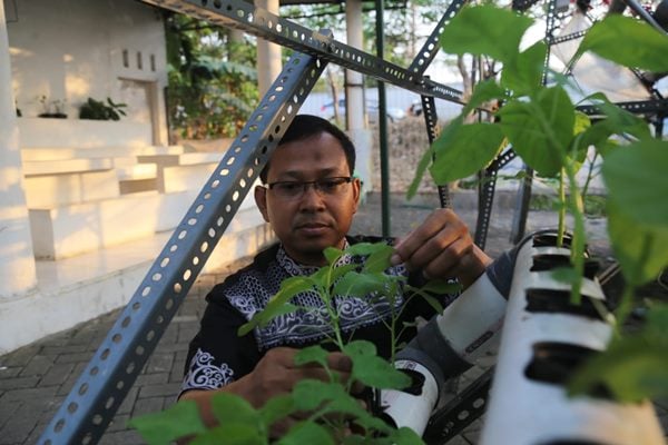  UMM Inisiasi Upaya Ketahanan Pangan Keluarga lewat OHOP