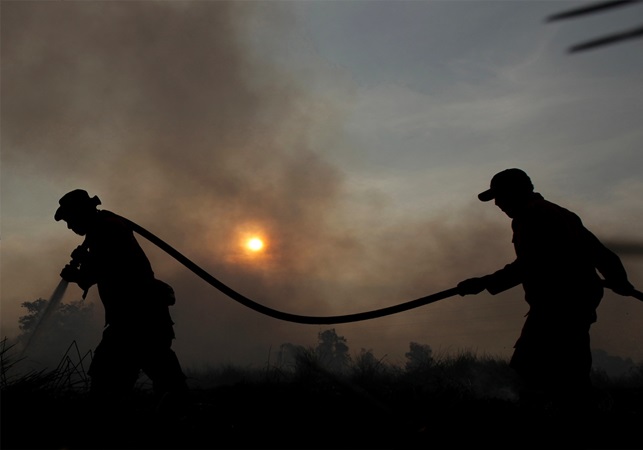  Kebakaran di Kawah Ijen dan Ranti Capai Seribuan Hektare