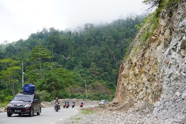 Sejumlah kendaraan melintas di Jalur Trans Sulawesi poros Tawaeli-Toboli di Kawasan Pegunungan Kebun Kopi, Sulawesi Tengah, Minggu (2/6/2019)./ANTARA - Mohamad Hamzah