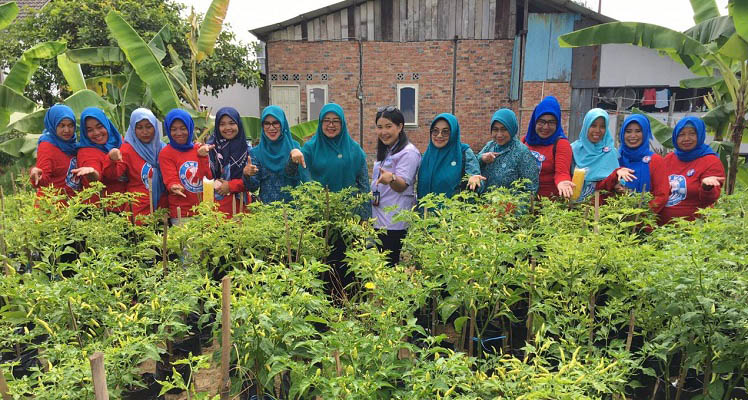  Tim Juri Gerakan Wanita Matilda Mulai Lakukan Penilaian Program Urban Farming