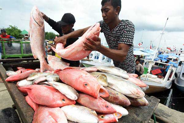  5 Nelayan Jayapura Dihukum Denda Rp63 Juta oleh Pengadilan PNG