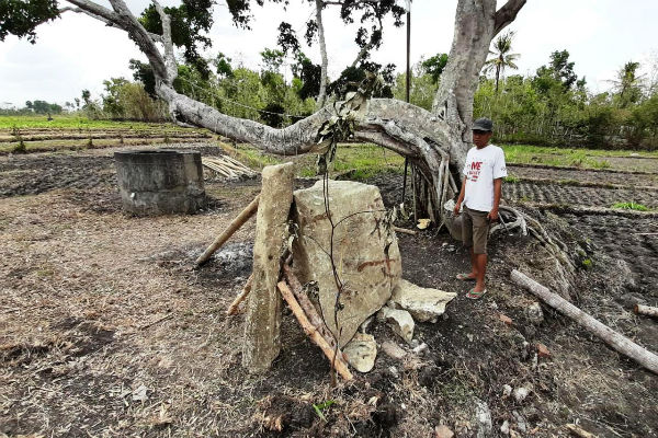  Batu Menhir Ditemukan Petani Gunungkidul, Dikira Batu Biasa