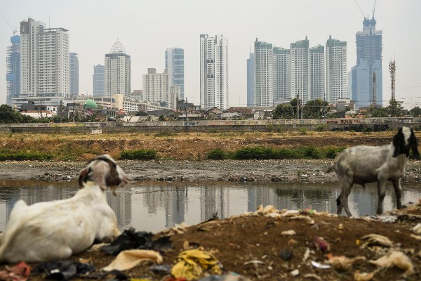  2020, OECD Tetap Proyeksikan Pertumbuhan Ekonomi Indonesia 5 Persen