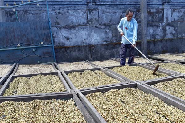  Menjaga Harum Kopi Demi Stabilitas Ekonomi