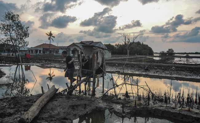  Abrasi di Kampung Beting, Bekasi