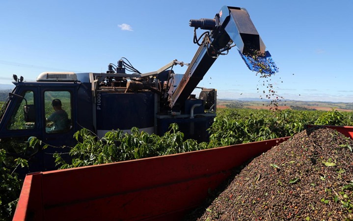  Petani Kopi Brasil Manfaatkan Reli Harga