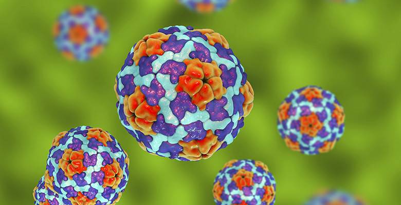  Penyebaran Penyakit Hepatitis A di Depok Mencapai 262 Kasus