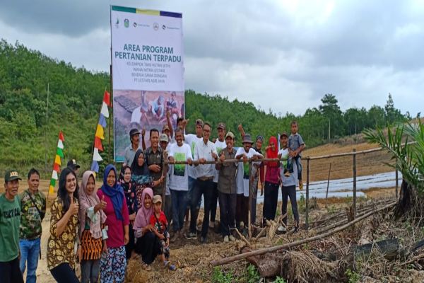  PT LAJ Bina Petani Hutan di Tebo, Jambi