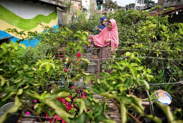  Pemkot Bandung Tambah Komoditas Tanaman Kampung Berkebun