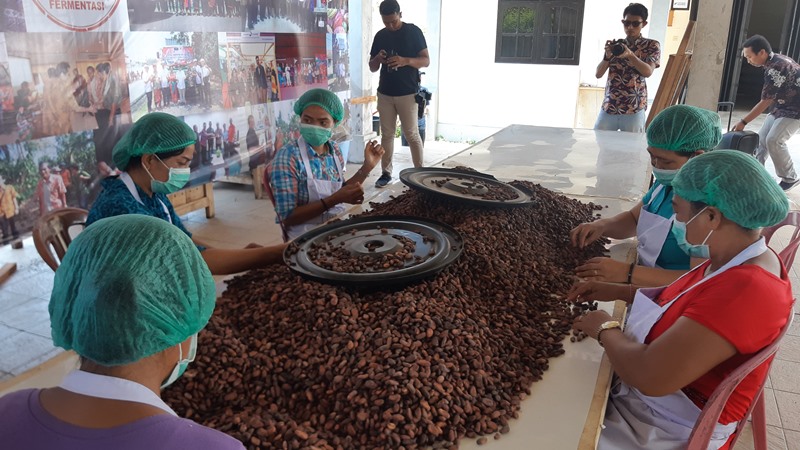 Pekerja menyortir biji kakao di Jembrana Bali, Jumat (6/12/2019). Biji kakao yang telah difermentasi dan dijemur kemudian diproses lebih lanjut/Bisnis-Nirmala Aninda