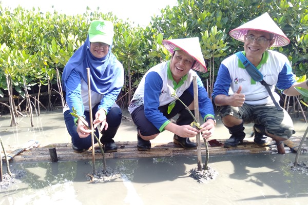Mangrove Edupark, Upaya Pertamina Selamatkan Pesisir Semarang