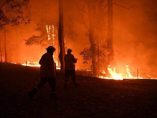  Hutan Australia Kebakaran, Asap Tebal Selimuti Sydney