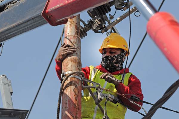  PLN Jatim Antisipasi Gangguan Kalong Pada Jaringan Listrik Di Bawean