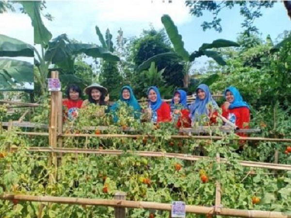  Program Wanita Matilda Tambah Lahan Produktif di Balikpapan