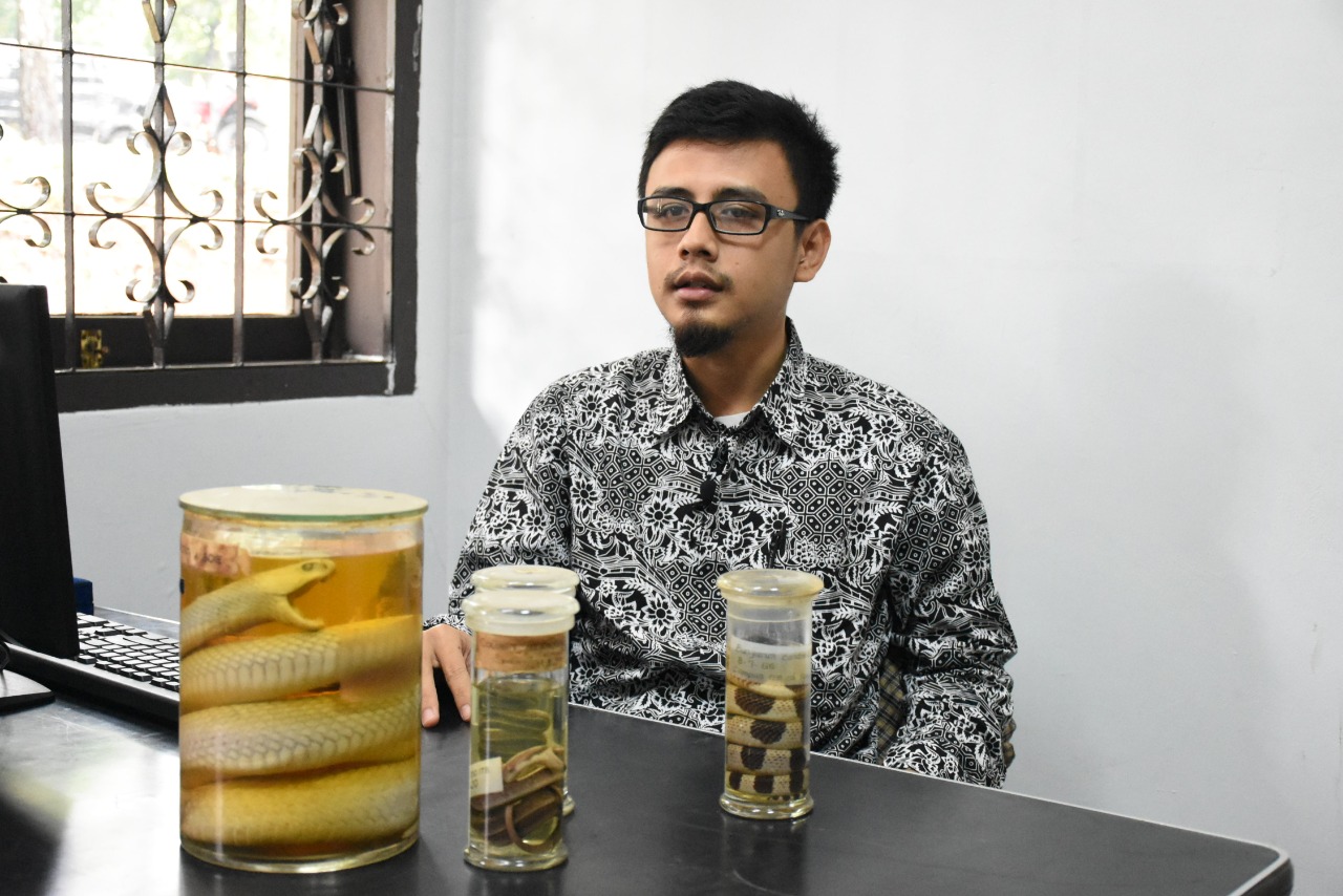 Teror Ular di Permukiman, Kenali Ciri-Ciri Ular Berbisa