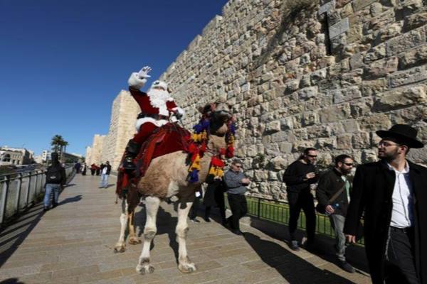  Dari Atas Unta, Sinterklas Bagikan Pohon Natal Gratis di Yerusalem