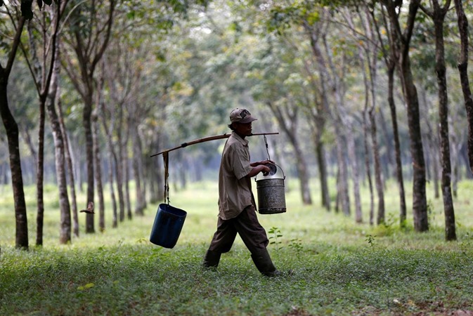 Seorang pekerja mengumpulkan getah di perkebunan karet dekat Bogor, barat daya Jakarta di provinsi Jawa Barat, Indonesia. File foto 28 Mei 2016. REUTERS-Darren Whiteside